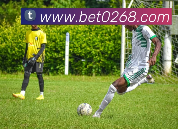 bet365com发展历程